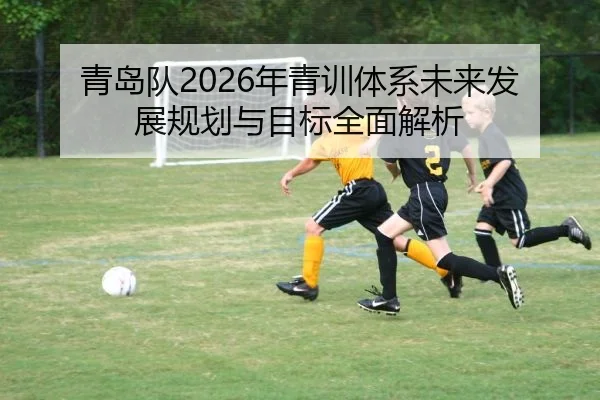 青岛队2026年青训体系未来发展规划与目标全面解析